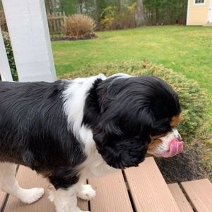 Meet your Posher, Nick